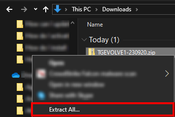 Screenshot highlighting the Extract ALL button.png